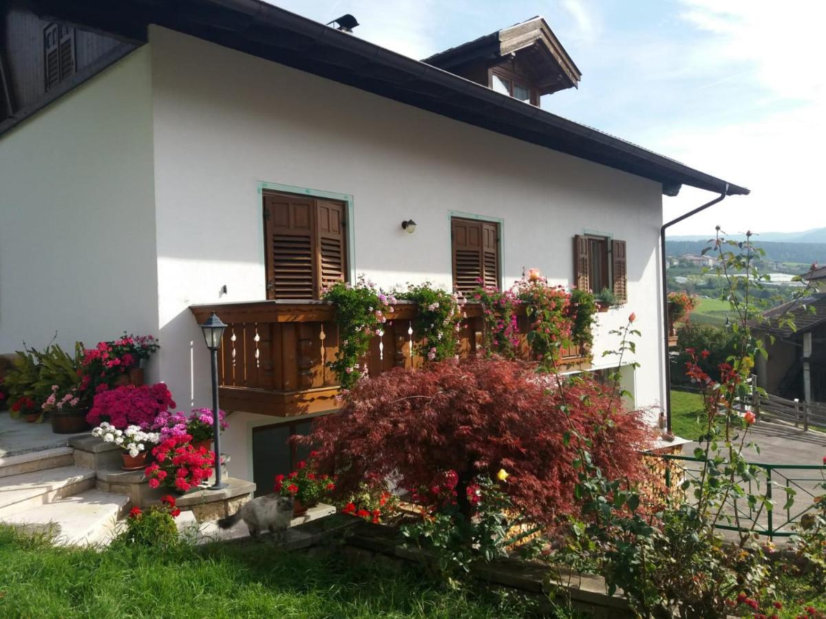 Appartamento Cologna Castelfondo ภายนอก รูปภาพ