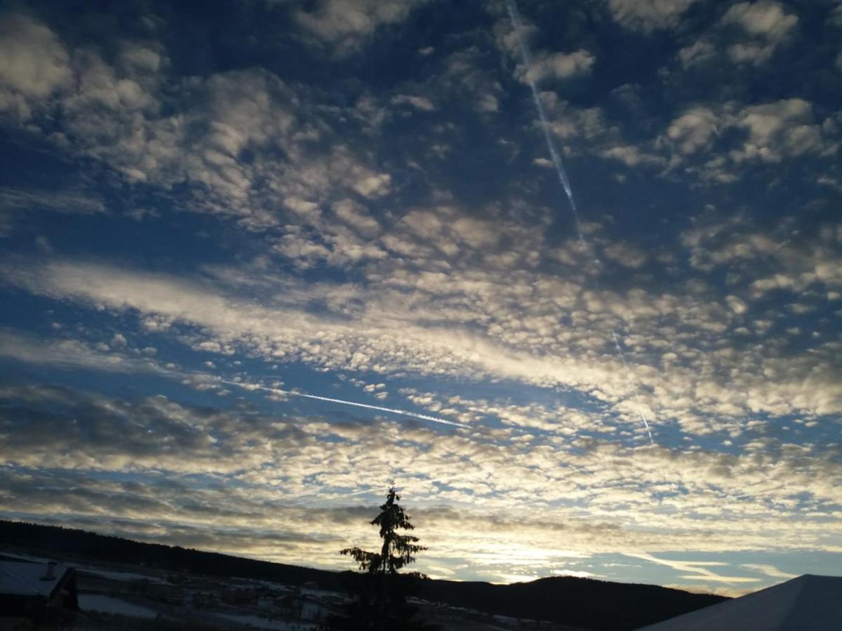 Appartamento Cologna Castelfondo ภายนอก รูปภาพ
