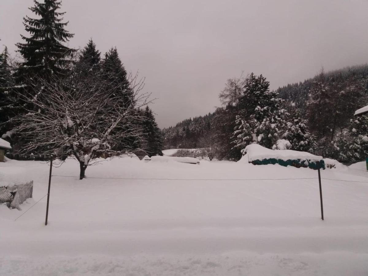 Appartamento Cologna Castelfondo ภายนอก รูปภาพ